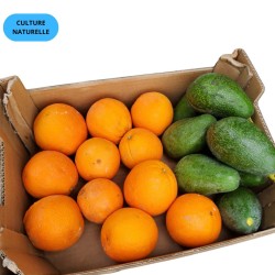 MIX AVOCAT'ANGE DELUXE (CN) (AVOCAT FUERTE + ORANGE CARA CARA)