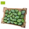 AVOCAT HASS BIO (CALIBRE VARIÉ) (CAGETTE DE 5KG)