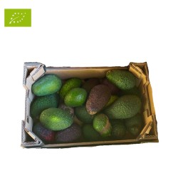 AVOCAT HASS BIO (CALIBRE VARIÉ) (CAGETTE DE 2KG)