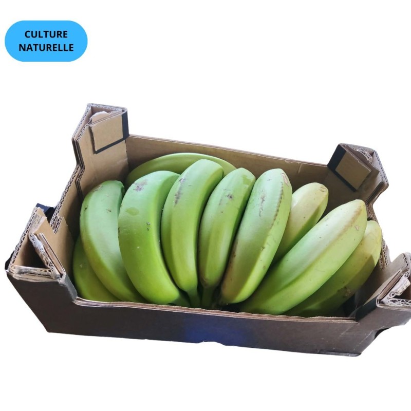 BANANE CAVENDISH D'ANDALOUSIE (CN) (CAGETTE DE 2KG)