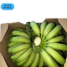 BANANE CAVENDISH D'ANDALOUSIE (CN) (CAGETTE DE 5KG)