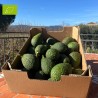 Avocat Hass Bio 5kg calibre varié | Bio d'Andalousie