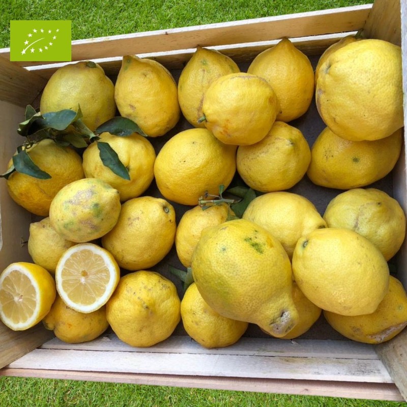 Citron Bio 5kg | Citrons bio d'Andalousie