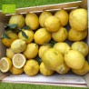 Citron Bio 5kg | Citrons bio d'Andalousie