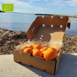 ORANGE LANELATE BIO (5KG)