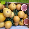 Pomelo Star Ruby Bio 5kg | Pamplemousse bio Andalousie