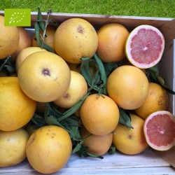 Pomelo Star Ruby Bio 2kg | Pamplemousse bio Andalousie