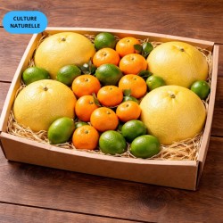 MIX AGRUMES (CN) 5KG (CLÉMENTINE + POMELO + CITRON VERT)