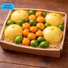 MIX AGRUMES (CN) 5KG (CLÉMENTINE + POMELO + CITRON VERT)