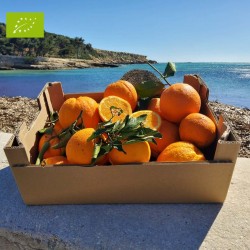 ORANGE PREMIUM BIO (5KG)