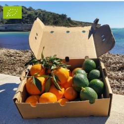 Mix Avocat'Ange Bio 5kg | Avocat + Orange