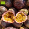 FRUIT DE LA PASSION CONV-BIO (CAT EXTRA) (1,8 KG)