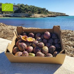 FRUIT DE LA PASSION CONV-BIO (CAT EXTRA) (1,8 KG)