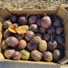 Fruit de la Passion Bio 1,8kg | Extra, bio d'Andalousie
