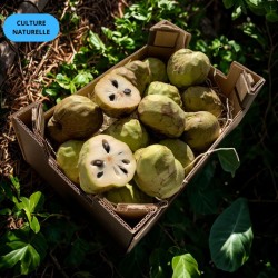 CAGETTE CHIRIMOYA (CN) 2KG