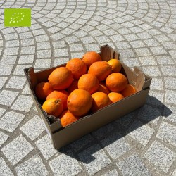 ORANGE AMERE BIO (5KG)
