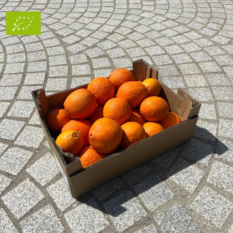 ORANGE AMERE BIO (5KG)