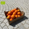 ORANGE AMERE BIO (5KG)