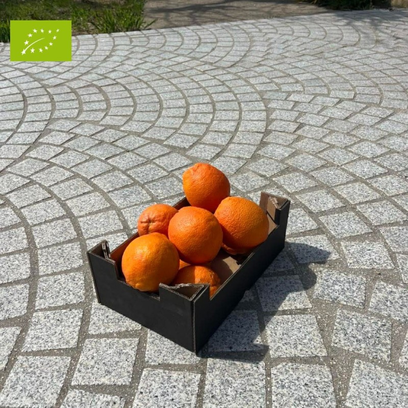 ORANGE AMERE BIO (2KG)