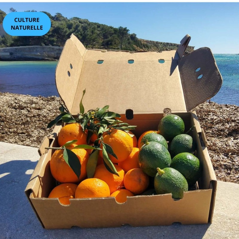 Mix Avocat'Ange | Avocat + Orange