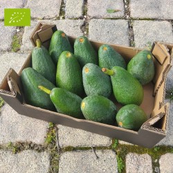AVOCAT BIO PREMIUM (2KG)