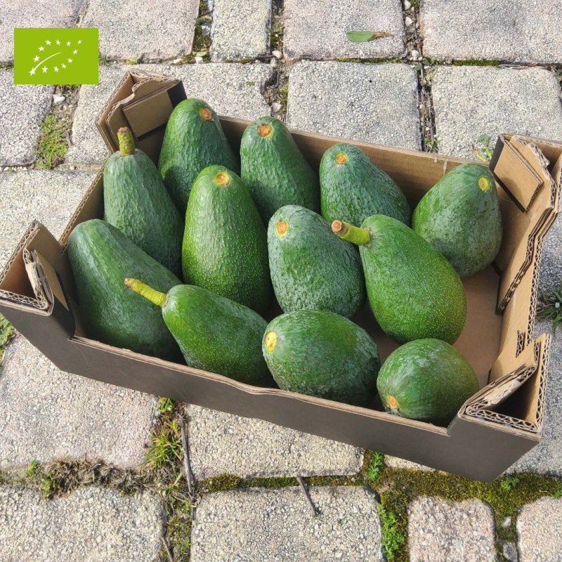 AVOCAT BIO PREMIUM (2KG)