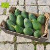 AVOCAT BIO PREMIUM (2KG)