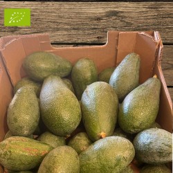 AVOCAT BIO PREMIUM (5KG)