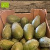 AVOCAT BIO PREMIUM (5KG)