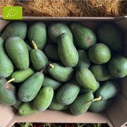 AVOCAT BIO PREMIUM (5KG)