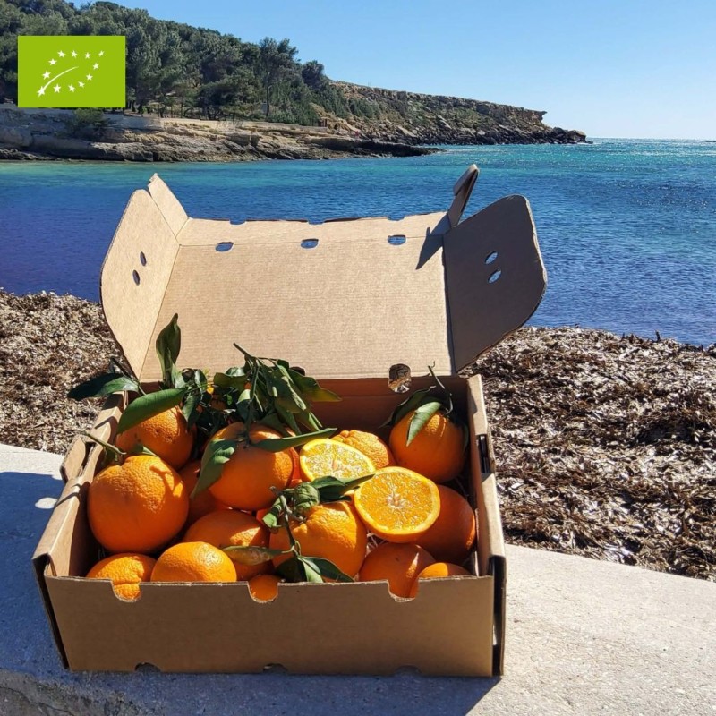 ORANGE PREMIUM BIO (5KG)