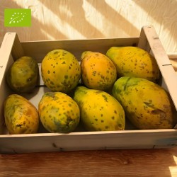 PAPAYE SWEET SENSE BIO (5KG)