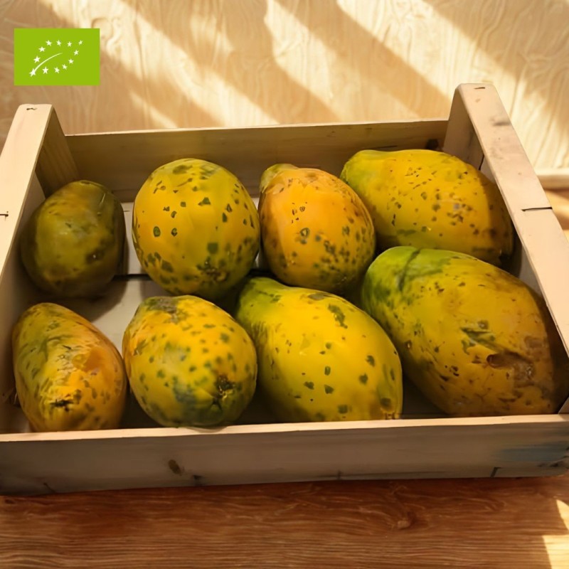 PAPAYE SWEET SENSE BIO (5KG)