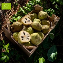 Chirimoya Bio 5kg | Anone bio d'Andalousie