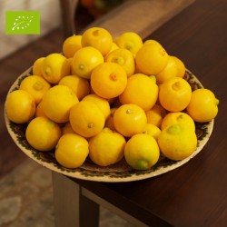 Citron Bergamote - LimetteBio 2kg | Citrons bio d'Andalousie