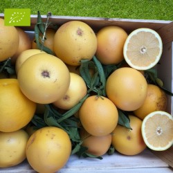 Pomelo jaune Bio 2kg | Pamplemousse bio Andalousie