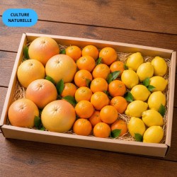 Mix Agrumes 5kg | Oranges, Pomelo, Citron