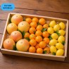 Mix Agrumes 5kg | Oranges, Pomelo, Citron