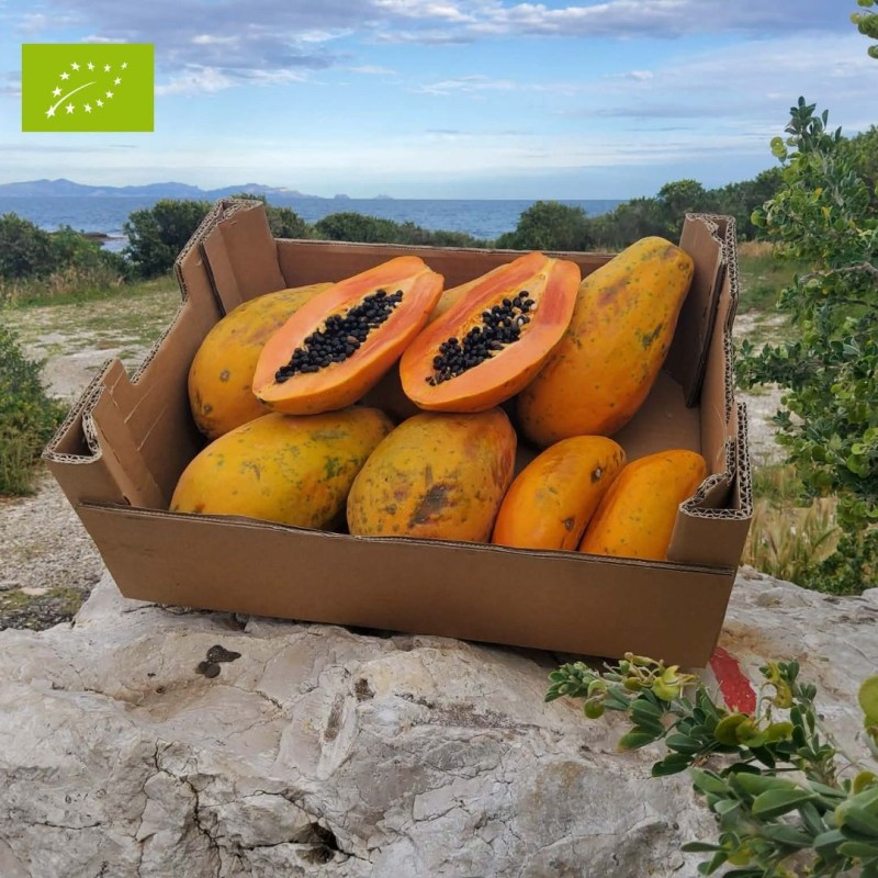 Papaye Sweet Sense Bio 5kg | Papaye bio d'Espagne