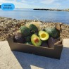 Avocat Hass Culture Naturelle 2kg calibre varié | Bio d'Andalousie
