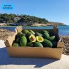 Avocat Hass Culture Naturelle 5kg calibre varié | Bio d'Andalousie