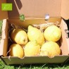 Citron Bio 2kg | Citrons bio d'Andalousie