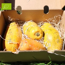 Papaye Sweet Sense Bio 2kg | Papaye bio d'Espagne