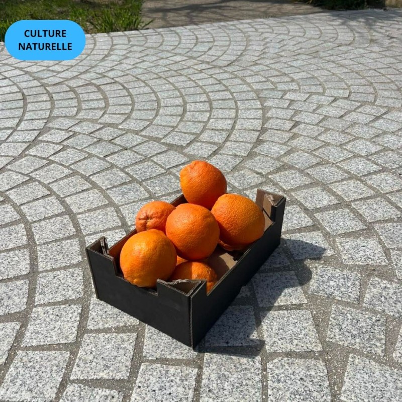 Orange Premium CN 2kg | Oranges Culture Naturelle d'Andalousie
