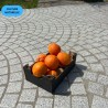 Orange Premium CN 2kg | Oranges Culture Naturelle d'Andalousie