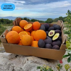 Mix Avocat'Ange | Avocat + Orange