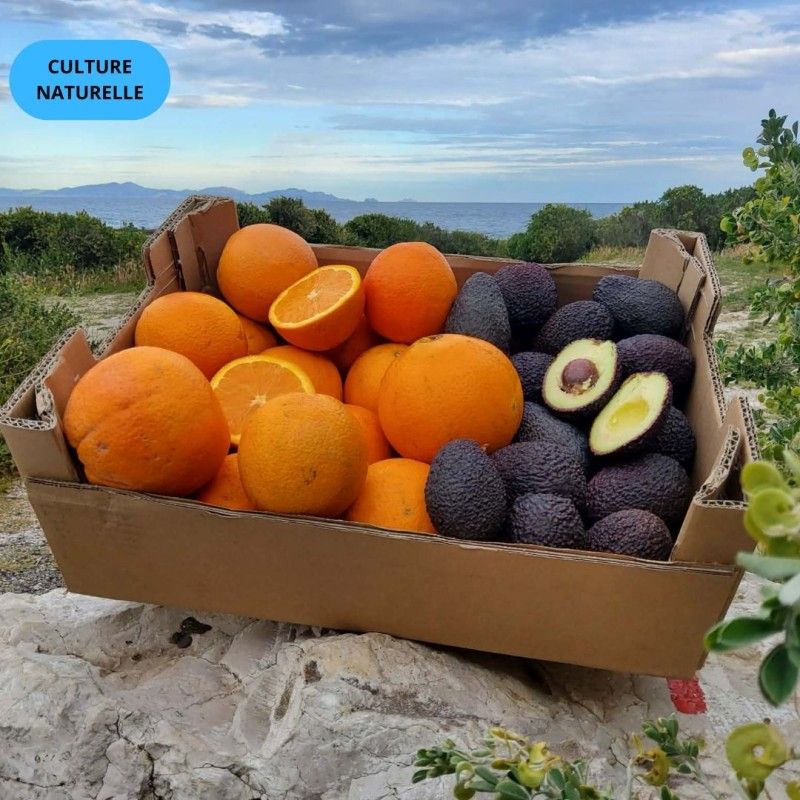 Mix Avocat'Ange | Avocat + Orange