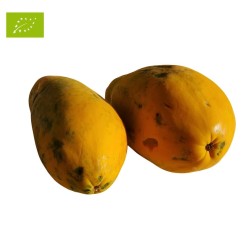 CAGETTE PAPAYE BIO 5KG