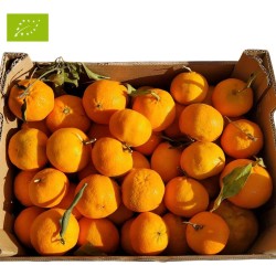 CLÉMENTINE PREMIUM BIO (CAT EXTRA) (5KG)