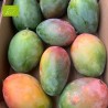 Mangue Kent BIO | Andalousie